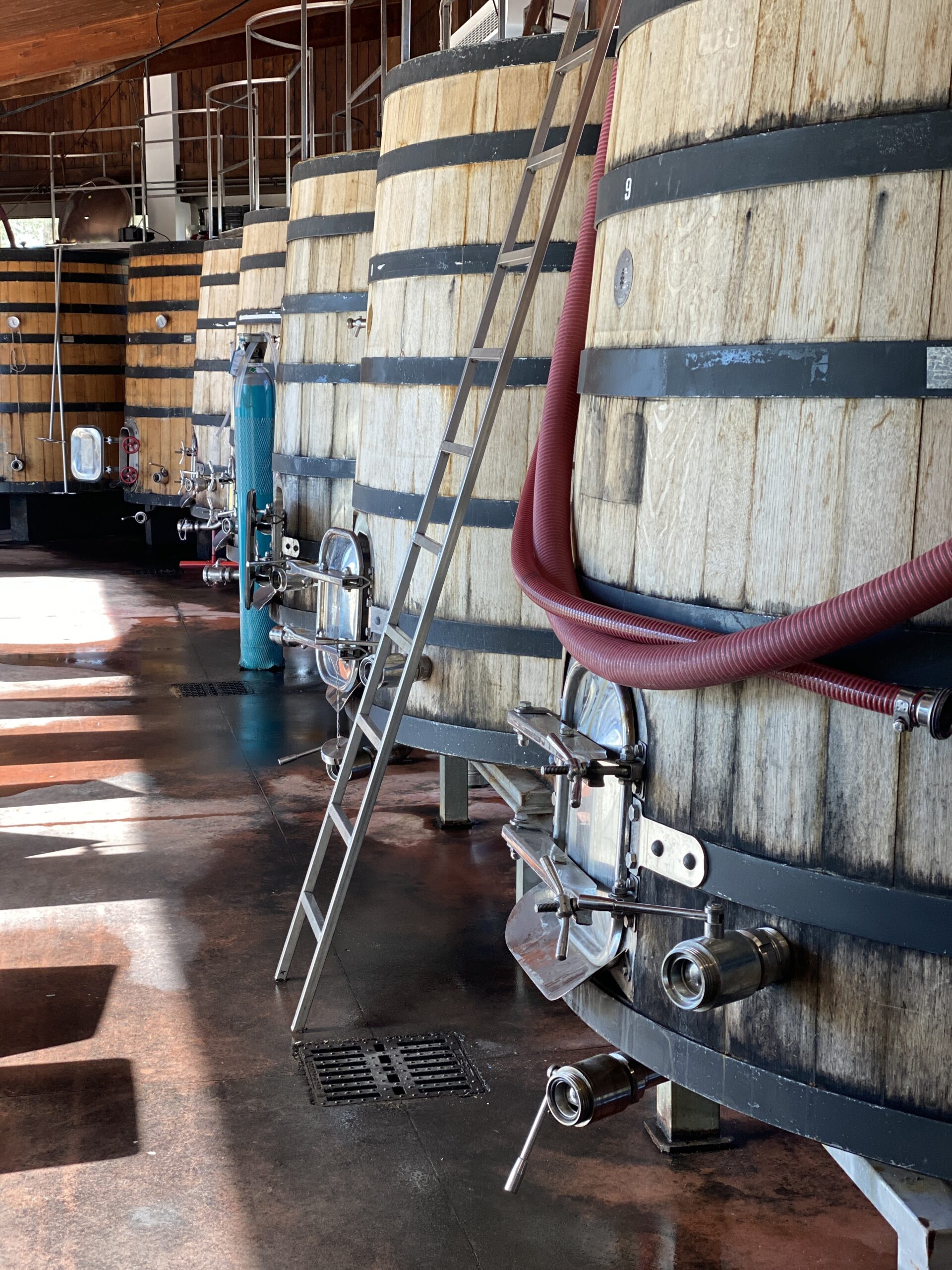 oak barrels sicily