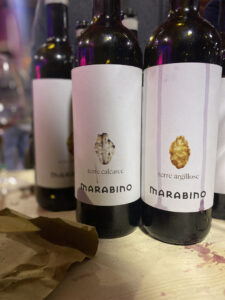 Marabino wine