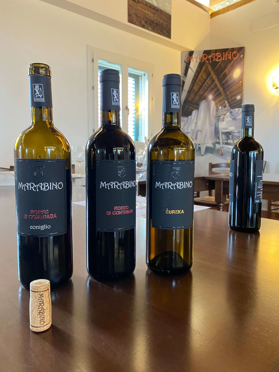 Marabino wines