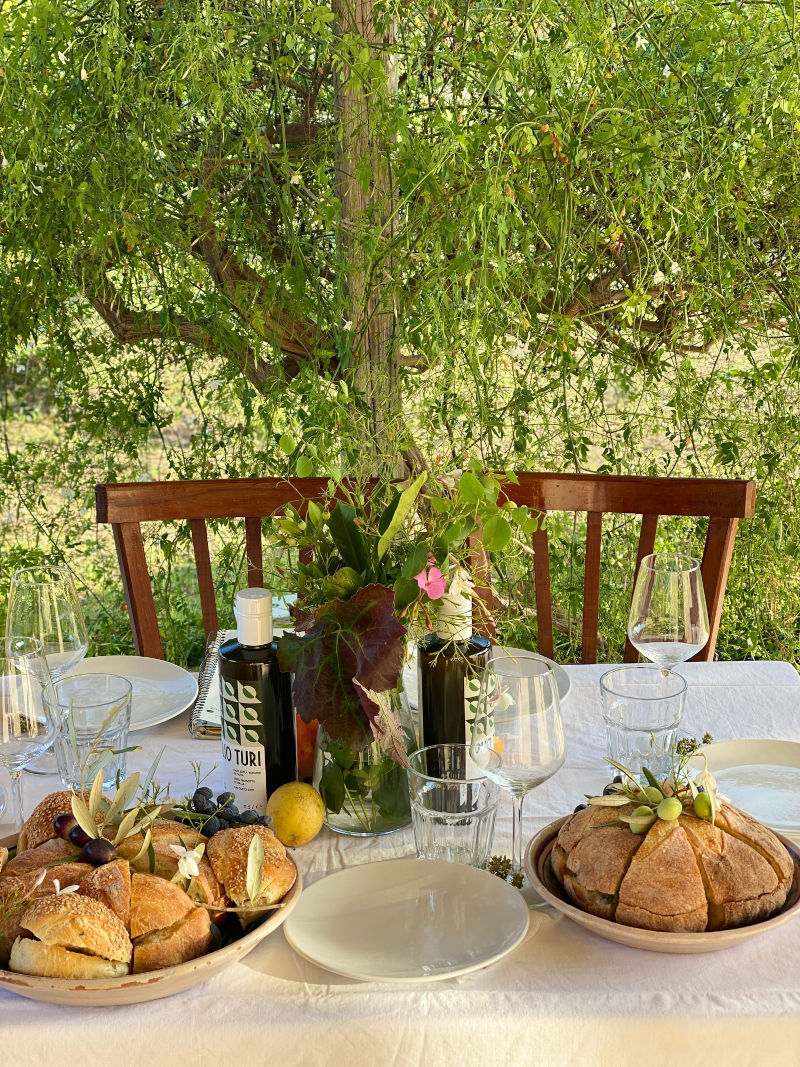 Natural Wine and Olive Oil Tasting in Sicily