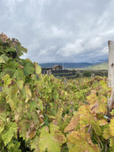 ETNA NORD